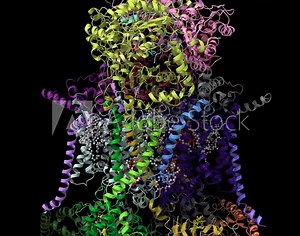 Structure of human respiratory complex III, animated 3D cartoon and Gaussian surface models, chain id color scheme, based on PDB 5xte, black background