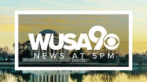 PHOTOS: 23 of the Most Beautifully Beastly Beards Ever Grown