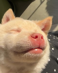 Juicy lips | Funny Now | Facebook