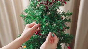 Honoson 180 Count 5 mm Winter LED Replacement Bulbs Bulk Wide Angle Winter LED Light Bulbs String Replacement Festival Light Garland Outdoor Tree Home Decoration (White Base with Multicolor Bulb)