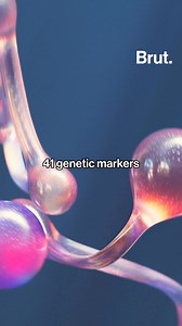 4.6K views · 26 reactions | Why are some people right-handed while others are left-handed? #LeftOrRight #Handedness #RightHanded #LeftHanded #ScienceFacts #FunFact #DidYouKnow #Genetics #HumanBody #HandPreference | Brut | Facebook