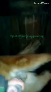 jerking off my stallion