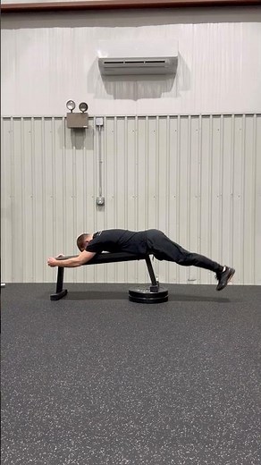 Bench Reverse Hyper Extension