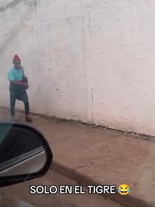 66K views · 1.2K reactions | Divina por la calles mi amor  | El Tigre Meme | Facebook