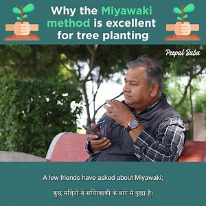 31K views · 1.8K reactions | Why the Miyawaki method is excellent for tree planting | Peepal Baba | Facebook
