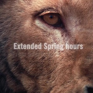 Fresno Chaffee Zoo on Reels