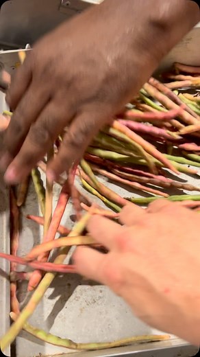 Pea shelling time! #pinkeyepurplehull #peapicking | Adrian Johnson
