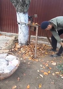 this iconic moment is never forgotten | Ungraduate Official