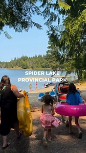 10K views · 69 reactions | Discover the tranquil beauty of Spider...