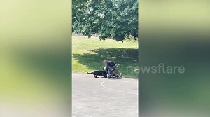 Brutal video shows dogs attacking each other in five-minute fight