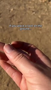 Just a cool little compass trick. . . . #outdoors #suunto #compass #hiking #fblifestyle | Tactical Belle