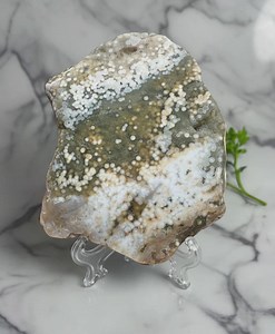 8th Vein Ocean Jasper Slab #28 - Etsy