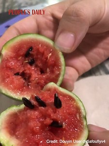 10K views · 166 reactions | A Chinese woman shared her homegrown mini watermelon, but don't let its size fool you, this tiny melon is extra juicy and flavorful! Would you like to try it? | People's Daily, China | Facebook