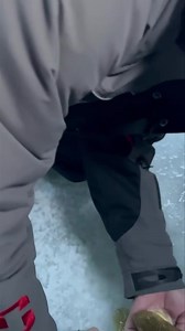 13K views · 86 reactions | Always a little adrenaline rush when you can see the walleye just under the ice! The PK Flutterfish getting things done on Last Mountain Lake.  Tim Geni | PK Lures | Facebook