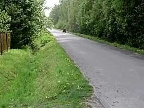 atv 110 quad top speed