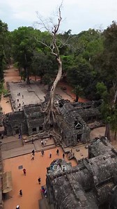 2.6K views · 238 reactions | It's a place where visitors can...