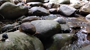 #sluicebox de PVC artesanal para atrapar oro #tecnologia #MineriaArtesanal #reelsfypシ | Pepita de oro | Facebook