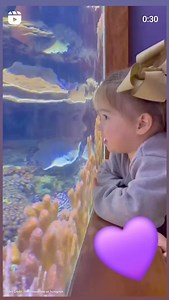 California Science Center on Reels