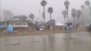 116K views · 2.4K reactions | HOLY MOLY! Check out this bizarre...