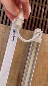 Keeping your clones happy!  @photobioled The PHOTOBIO VP system...