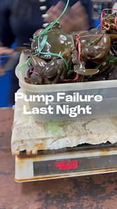 1.5K views · 28 reactions | Pump failure last night put the farm at...