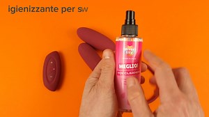 RC Shaking & Vibrating Love Egg Duo