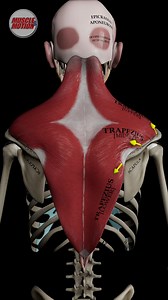 178K views · 3.7K reactions | Art meets science in every movement! ...