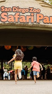 3.4K views · 11 reactions | Walk on the Wild Side  While staying at...