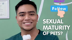 Kailan ba nasisimulang magkaroon ng “gana” ang mga alaga natin? Kung ikaw ‘di mo mapigilan…paano pa sila? Be a responsible pet owner. Join the Stray Neuter Project! #strayneuterproject #stray #neuter #straydog #straycat #vet #veterinarian #veterinariansoftiktok #pet #dog #cat #furbaby | Stray Neuter Project