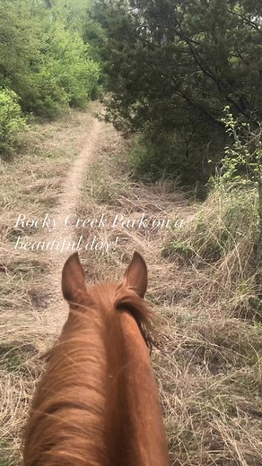 40 Something Cowgirls, Benbrook, TX on Reels