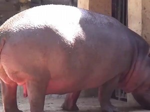 20260109-1280x720-lwy-2dA11-SM0027-2d-展示向-AI-国家繁荣度对比-迭a_gn1