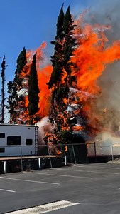 At 2:15 PM on September 12, 2025, Orange Engine 3 was dispatched to Orangeland RV Park following reports of trees on fire. Upon arrival, firefighters found flames engulfing trees at the back of the property, threatening nearby travel trailers and local businesses. Shortly after arrival their arrival, Engine 3 escalated the incident to a working structure fire, leading to the deployment of additional resources. Main IC was established, and crews promptly began efforts to extinguish the blaze. The