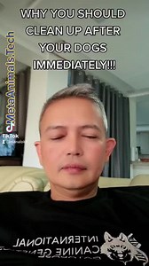 141K views · 2.8K reactions | WHY YOU SHOULD CLEAN UP AFTER YOUR #DOGS IMMEDIATELY??? | Doc Abel Manalo | Facebook