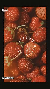 Our latest newsletter featured baked strawberry desserts. We're ready for spring! Sign up for our newsletter for upcoming seasonal treats, recipes, and cast-iron gems. Visit https://bit.ly/3ZL4Rs7 and sign up today | Southern Cast Iron | Facebook