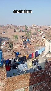 Pakistani Pigeon Worldwide Association on Reels