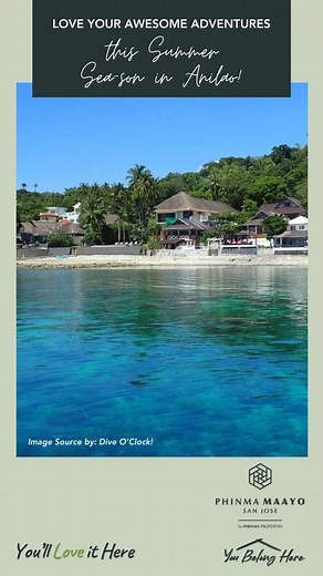 Dare to take a dive? Take a trip and go into the blue this summer...