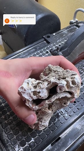 36 reactions | this is a giant agatized coral geode! #geode #coral #agate #crystal #whatsinside | Kaines Crystals | Facebook