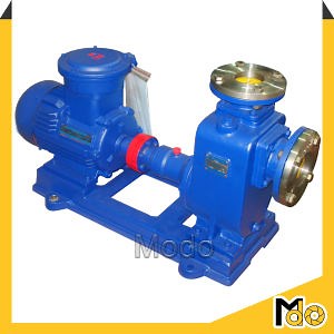 [Hot Item] Horizontal Self Priming Centrifugal Pump for Wastewater