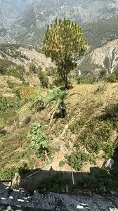 一棵孤独的松树矗立在崎岖的喜马拉雅山坡上，四周环绕着深谷和远山，天空乌云密布。非常适合平静的大自然镜头。 库存影片视频（100% 免版税）3797156801 | Shutterstock