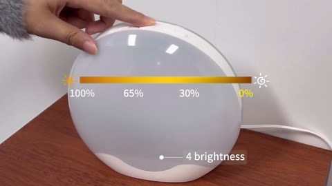 RICIAL Light Therapy Lamp, Sunlight Alarm Clock with 10,000 Lux Therapy Light, Wake Up Light with 20 Brightness & 4 Color Temperature, Dual Alarms & Snooze,11 Atmosphere Lights and Sleep Aid