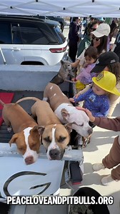 11K views · 1.3K reactions | Thanks for being a top engager and making it on to my weekly engagement list!  Julie Corker, TommyandShari Bolio, Ála Pavlíková, Sheila Ann, Regina Bartek  | Peace, Love & Pit Bulls | Facebook