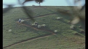 124K views · 360 reactions | ABBAS KIAROSTAMI: A RETROSPECTIVE opens at IFC Center 7/26. https://bit.ly/2XUlTaV | Janus Films | Facebook