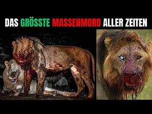 Die Schlacht der 95 Paviane gegen 15 Löwen – Afrikas Dunkelster Krieg