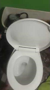 Tank and bowl view of the mancesa toilet