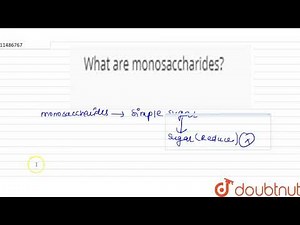 What are monosaccharides?