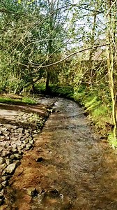 #morningside | Senthilarasu Sundaram