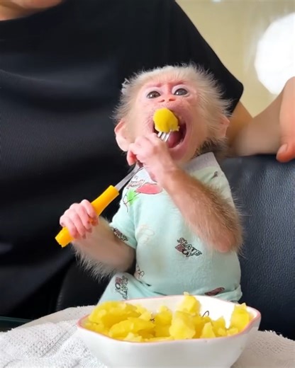 Lala enters the kitchen to grow potatoes when she is hungry, which surprises her! | Family BiBi