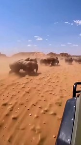 12K views · 560 reactions | Jardadas angolanas tá chegar uma corrida só vossa ??? 藍藍藍藍 | Luis Candeias | Facebook