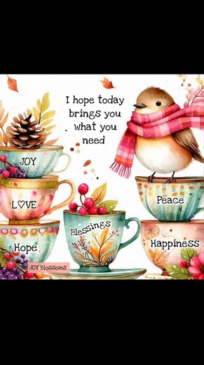 The English Rose Tea Room on Reels