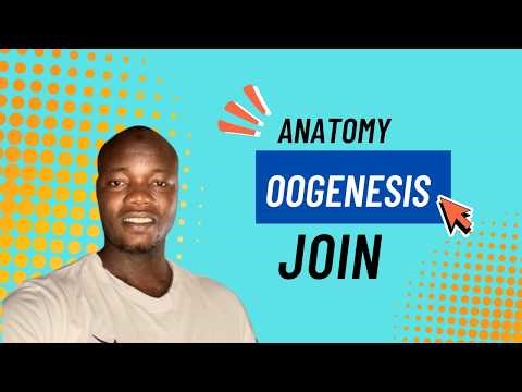 Oogenesis